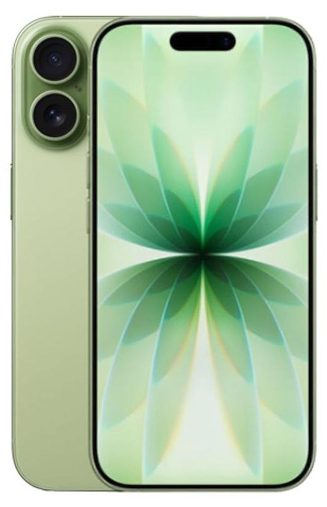 Apple iPhone 17 , 16 cm (6.3"), 2622 x 1206 Pixel, 256 GB, 48 MP, iOS 26, Salbei
