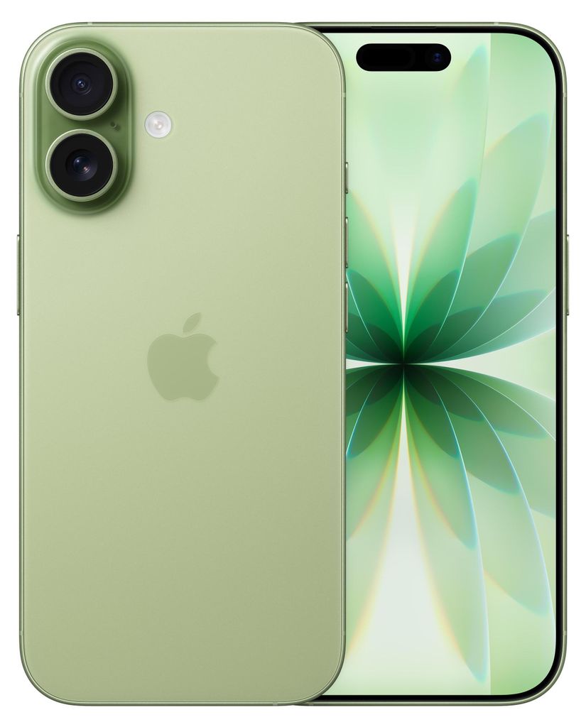 Apple iPhone 17 , 16 cm (6.3"), 2622 x 1206 Pixel, 256 GB, 48 MP, iOS 26, Salbei