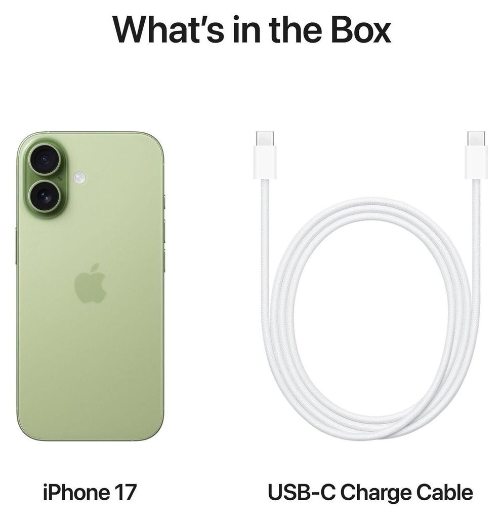 Apple iPhone 17 , 16 cm (6.3"), 2622 x 1206 Pixel, 256 GB, 48 MP, iOS 26, Salbei