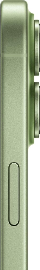 Apple iPhone 17 , 16 cm (6.3"), 2622 x 1206 Pixel, 256 GB, 48 MP, iOS 26, Salbei