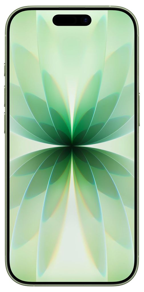 Apple iPhone 17 , 16 cm (6.3"), 2622 x 1206 Pixel, 256 GB, 48 MP, iOS 26, Salbei