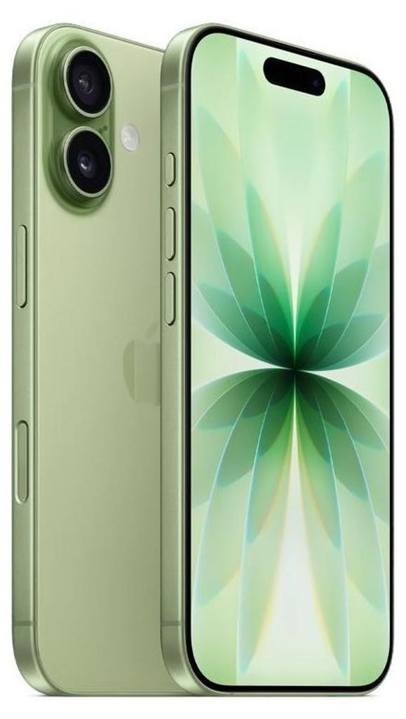 Apple iPhone 17 , 16 cm (6.3"), 2622 x 1206 Pixel, 256 GB, 48 MP, iOS 26, Salbei